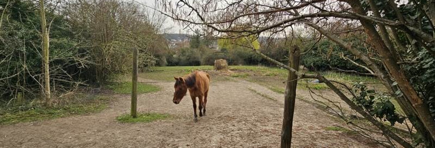Photo N° 2