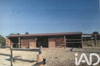 Terrain  80000 €