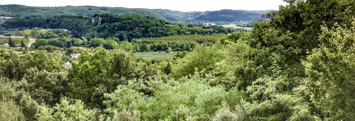 Terrain  6000 m² à vendre à La Roque-Gageac (24250)