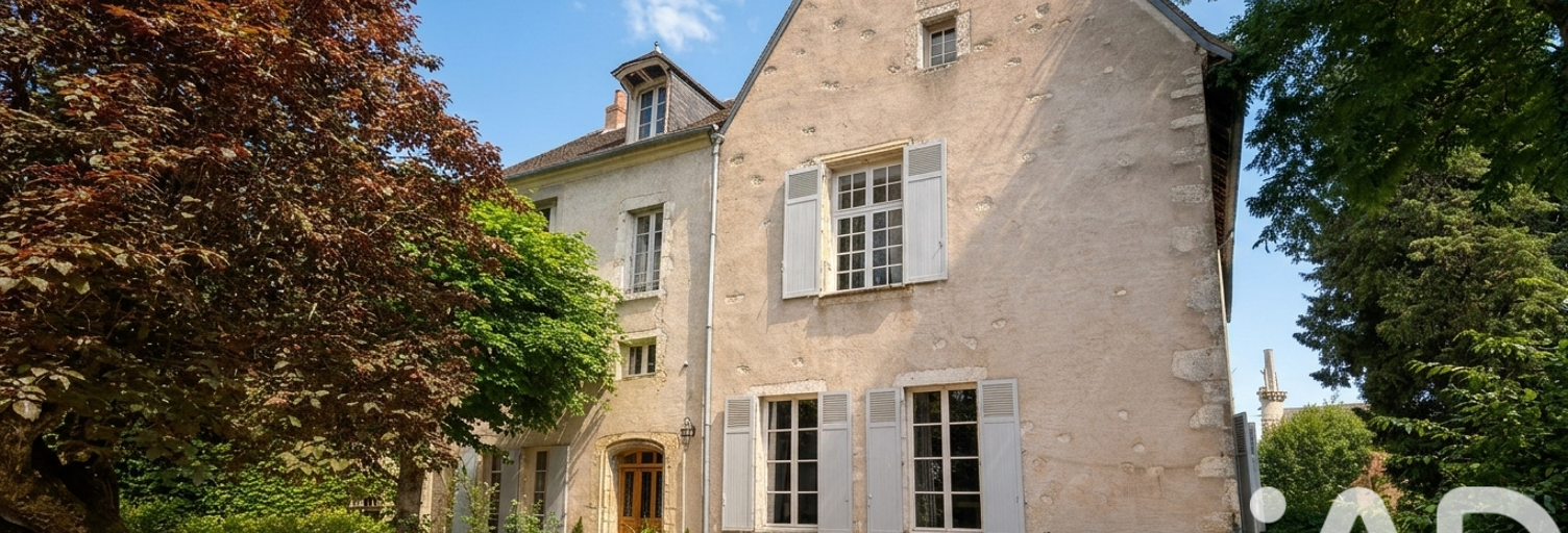 Maison 12 Pièces 400 m² à vendre à Mehun-sur-Yèvre (18500)