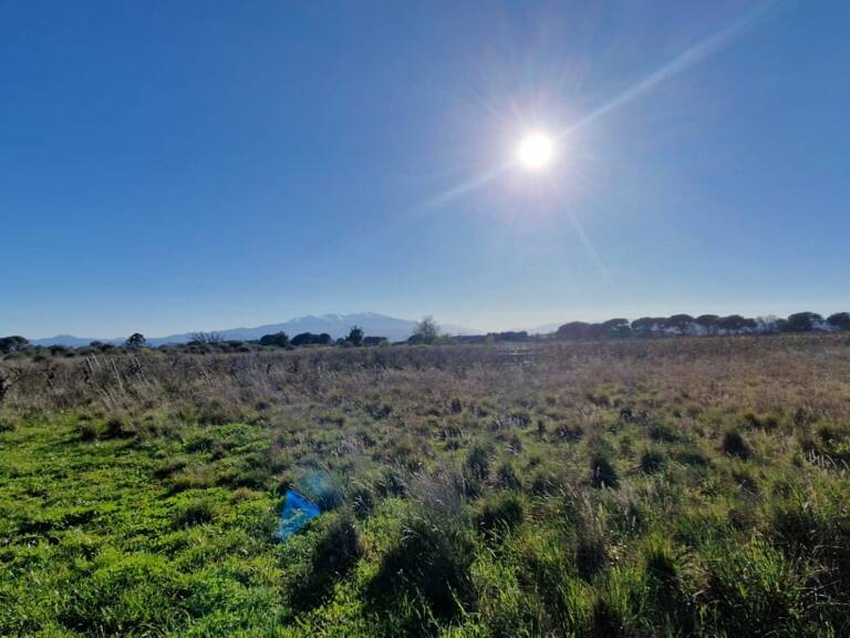 Vente Terrain 1 930 m&sup2; — photo 1