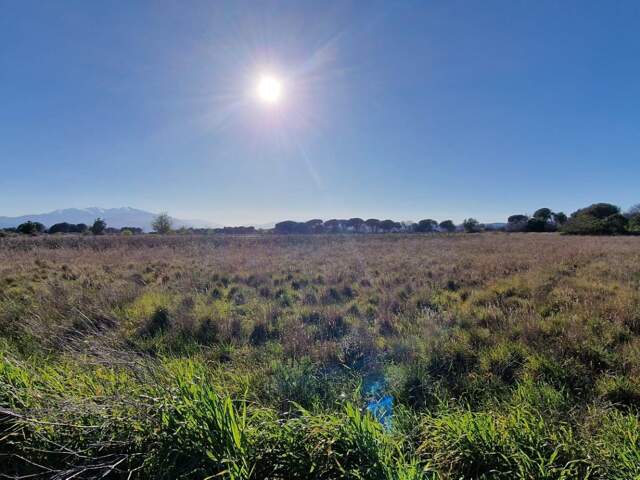 Vente Terrain 1 930 m&sup2; — photo du bien