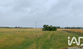 Terrain  4271 m² à vendre à Sainte-Maure-de-Touraine (37800)