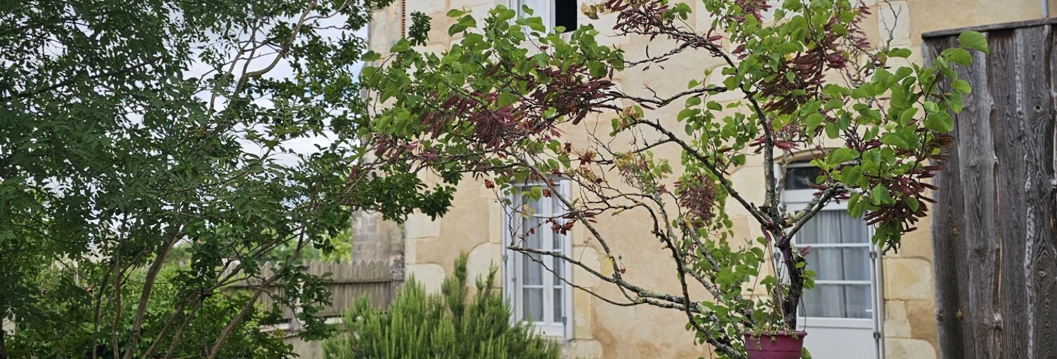 Maison 6 Pièces 183 m² à vendre à Val-de-Livenne (33820)