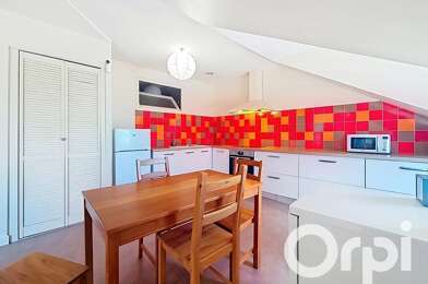 Appartement 3 pièces 585 €