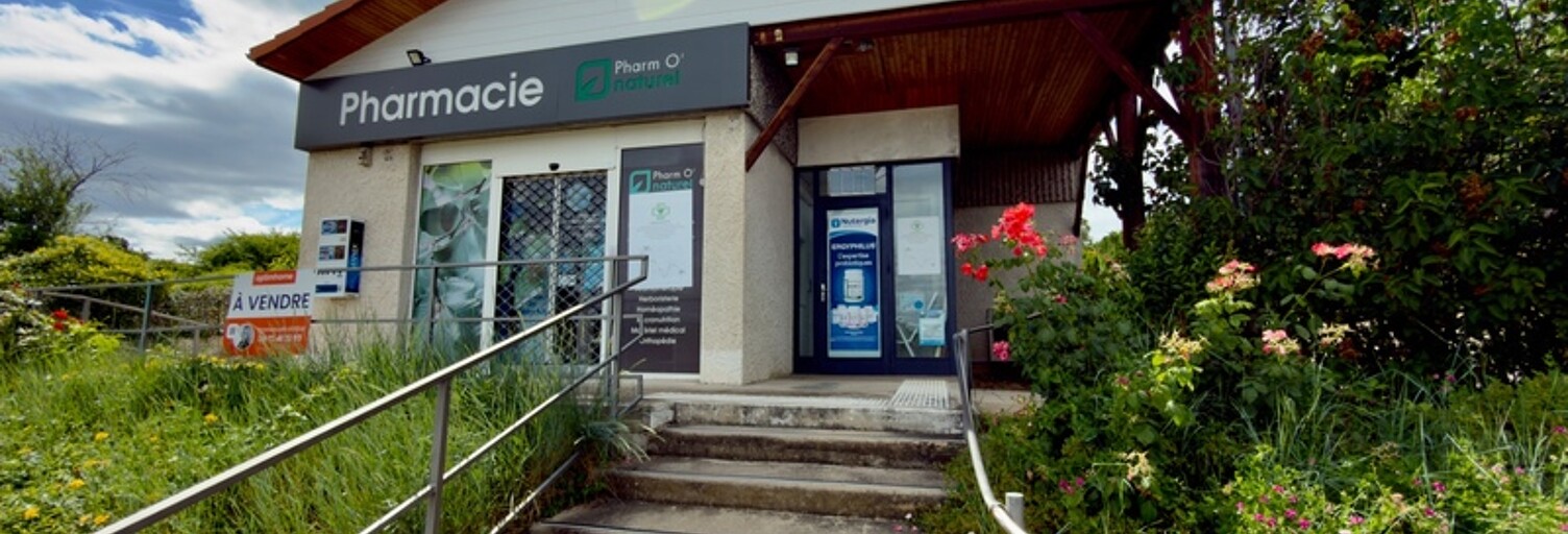 Photo N° 2