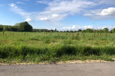 Terrain  60000 €