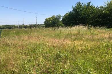 Terrain  60000 €