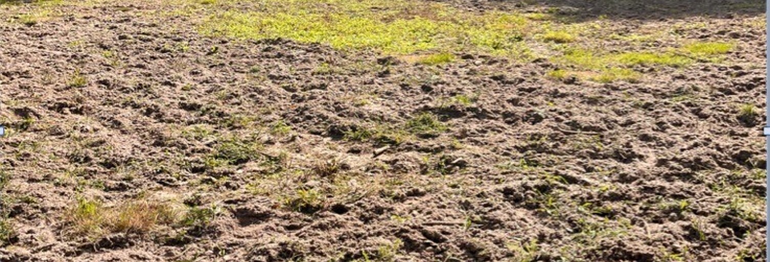 Terrain  900 m² à vendre à Saint-Selve (33650)