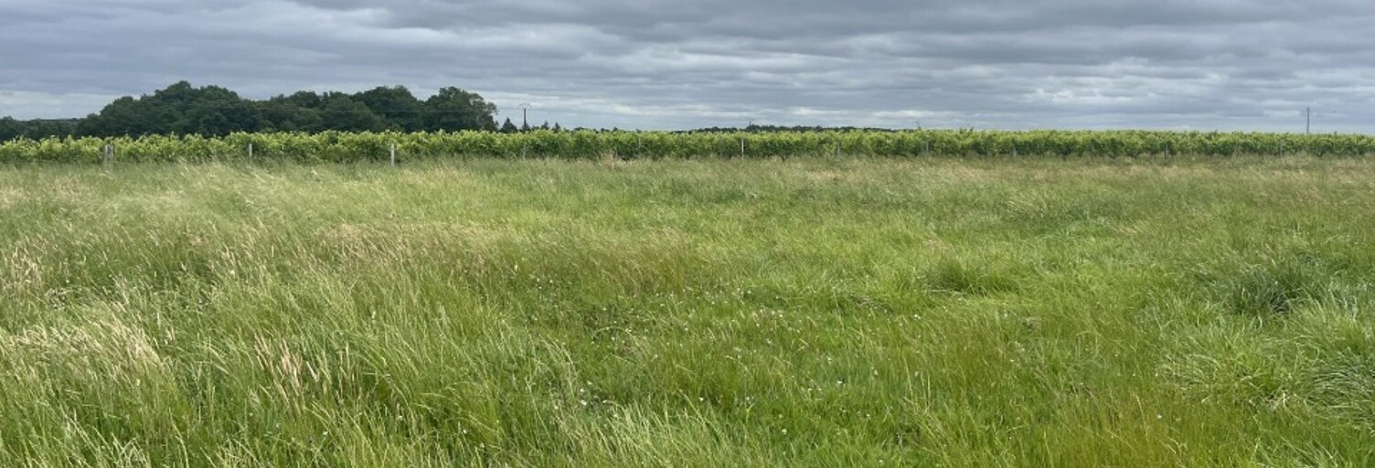 Terrain  1235 m² à vendre à Jonzac (17500)