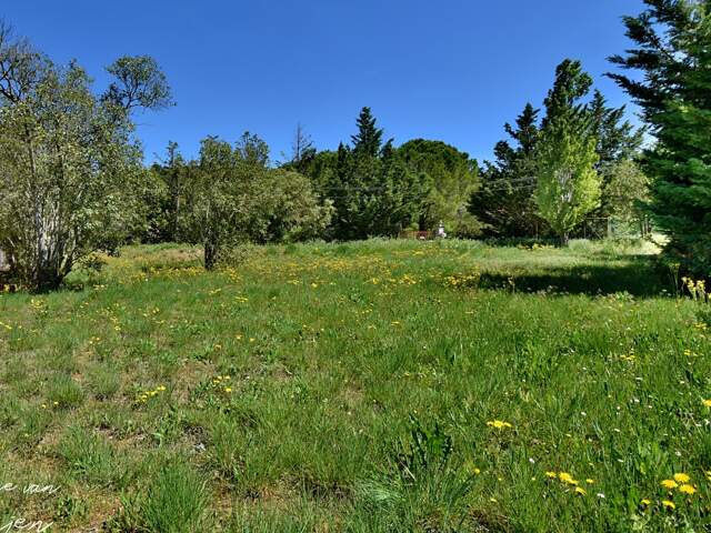 Terrain de 2 846 m² viabilisé à EGUILLES (13) – Vente en totalité ou par lot de 1 423 m² — photo du bien