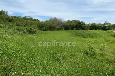 Terrain  348800 €