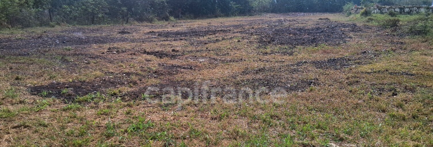 Terrain  1811 m² à vendre à Le Moule (97160)