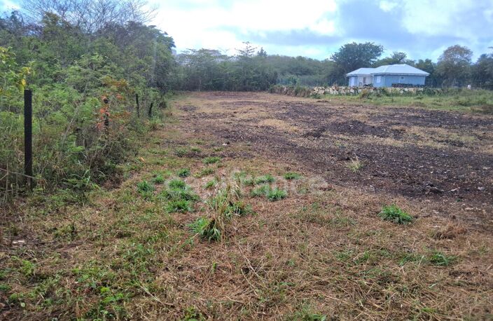 Terrain à vendre  de 1811 m² sur LE MOULE (971) — photo 3