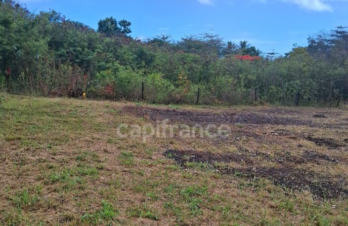 Terrain à vendre  de 1811 m² sur LE MOULE (971) — photo 5