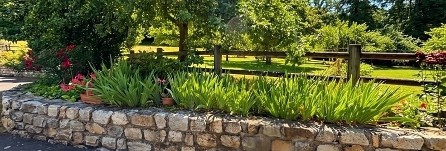 Photo N° 2