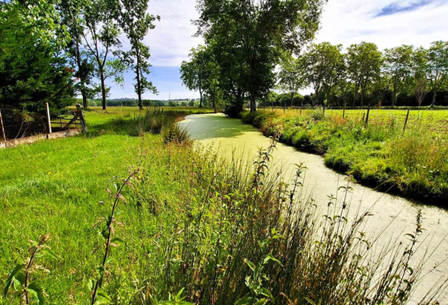 Corps de ferme à aménager avec dépendances et plus de 7 000 m² de terrain  Plaisance-du-Gers — photo 1