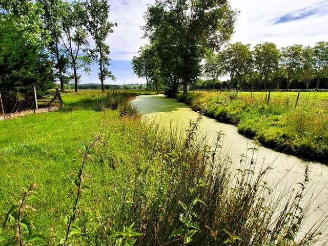 Corps de ferme à aménager avec dépendances et plus de 7 000 m² de terrain  Plaisance-du-Gers — photo du bien