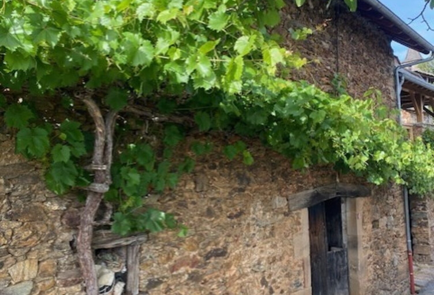 OPPORTUNITE: Grange à transformer  en partie rénovée à La Vinzelle (12) — photo 1