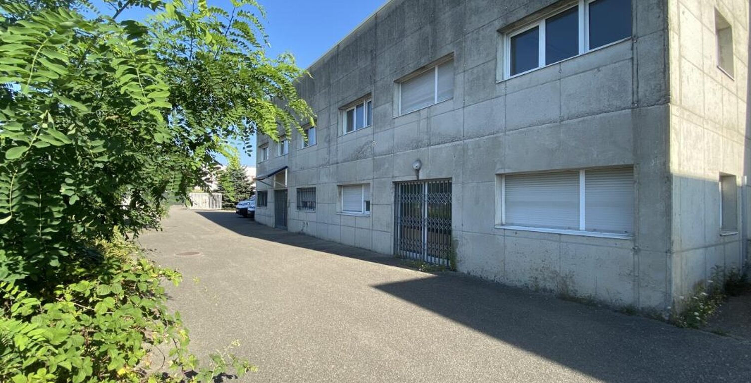 Immobilier Professionnel à louer Richwiller — photo 1