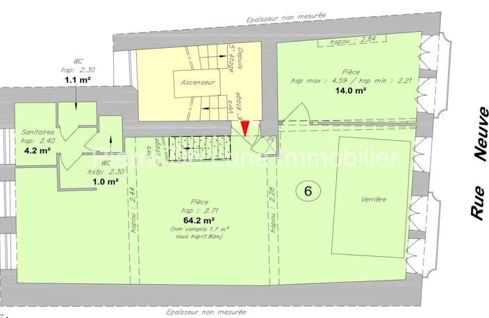 Presqu'île, dernier étage, 124m2, verrière exceptionnelle — photo 2
