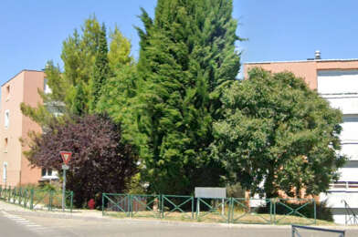 Appartement 3 pièces 585 €