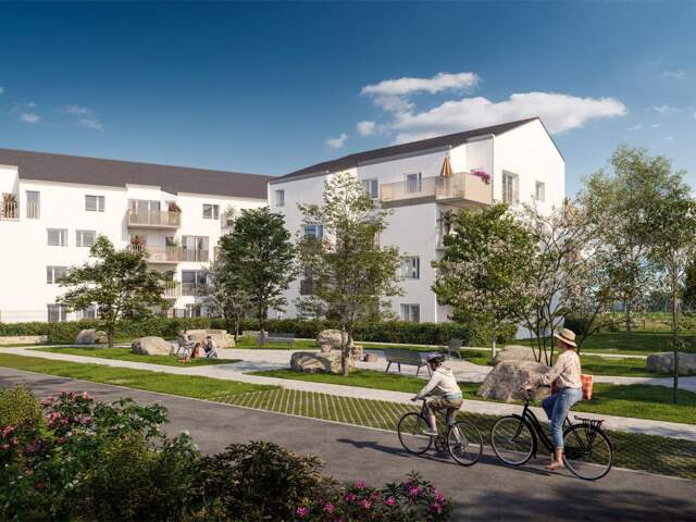 ROSCOFF Appartement T3 neuf avec balcon — photo du bien