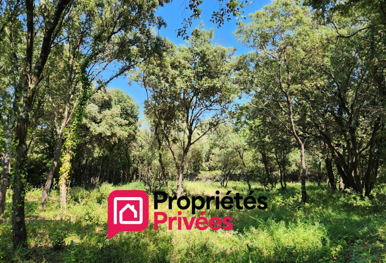 Uzès, terrain de 2600 m2 — photo 1