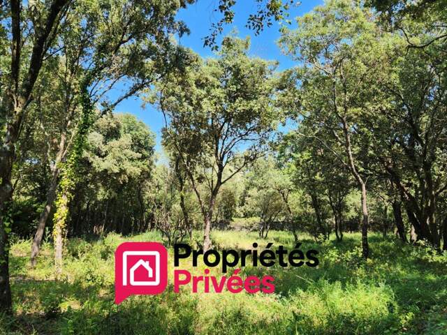 Uzès, terrain de 2600 m2 — photo du bien