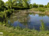 Terrain de loisirs avec deux étangs - 6 500 m² de nature à Aubers — photo 2