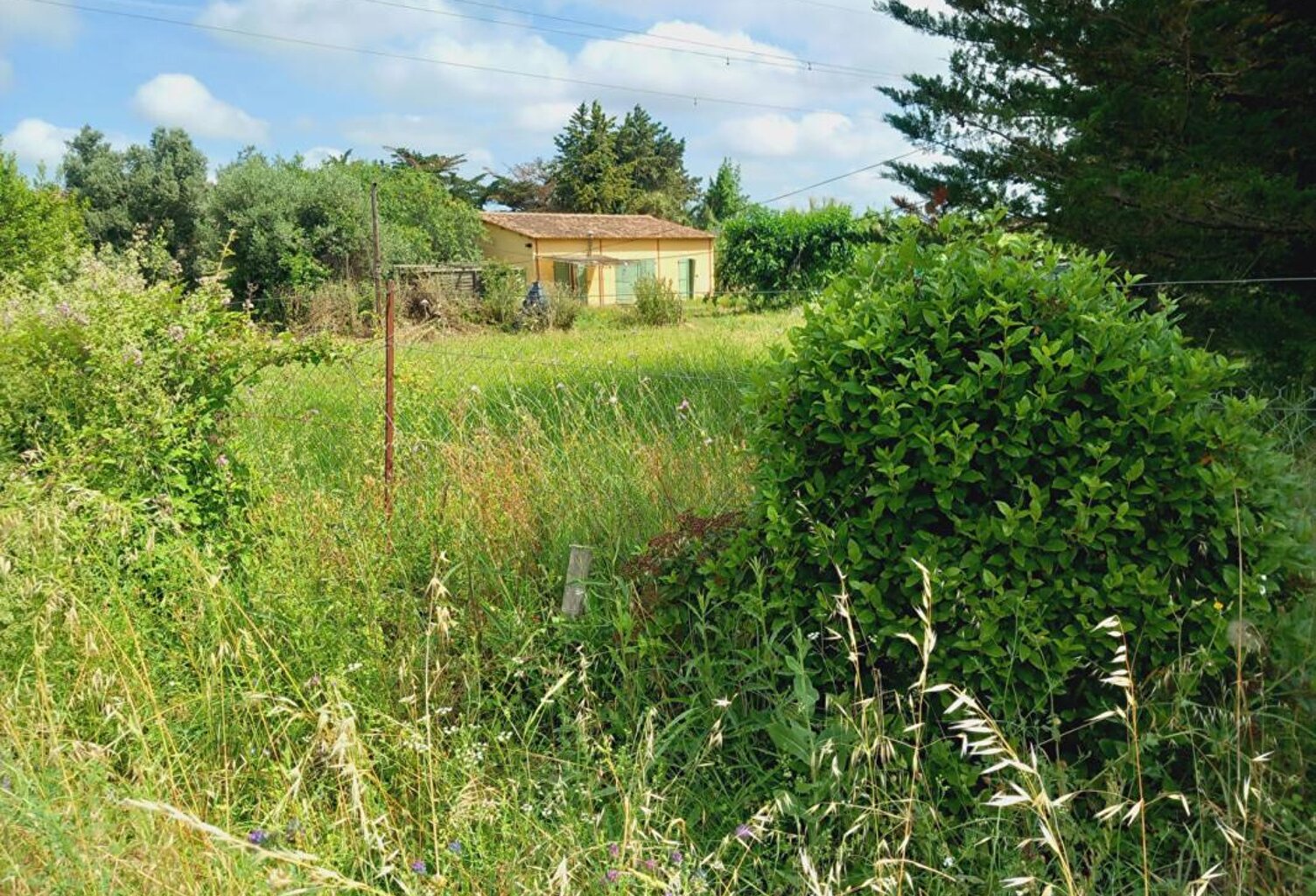 TERRAIN AVEC MAZET  et batiment agricole à Espondeilhan — photo 1
