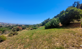 Terrain 1718 m² à construire Saint-Laurent-du-Var (06700)
