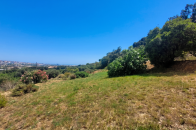 Terrain  383000 €