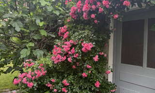 Photo N° 2