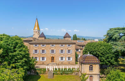 DEMEURE HISTORIQUE D'EXCEPTION AUX PORTES DE LYON — photo du bien