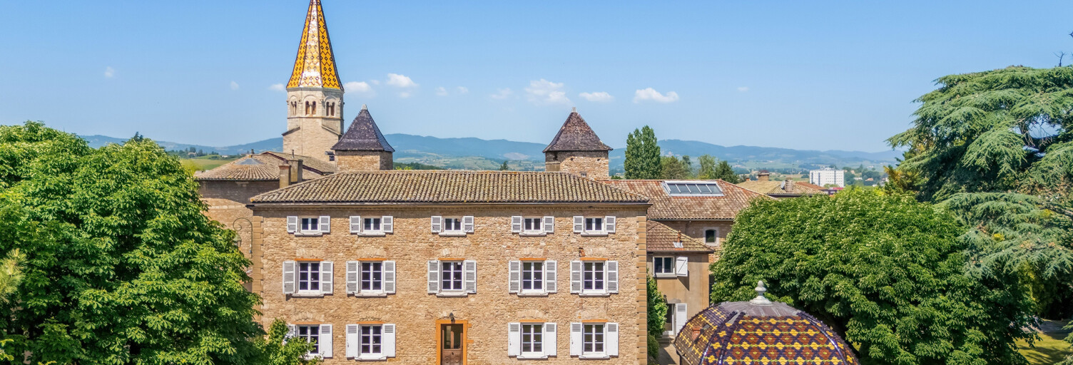 Maison 10 Pièces 520 m² à vendre à Limas (69400)