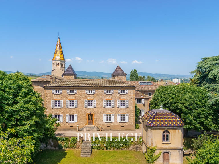 DEMEURE HISTORIQUE D'EXCEPTION AUX PORTES DE LYON — photo 1