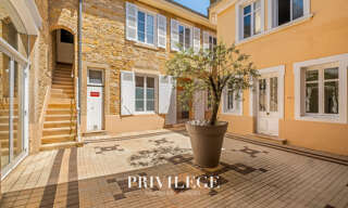 Maison 10 Pièces 520 m² à vendre à Limas (69400)