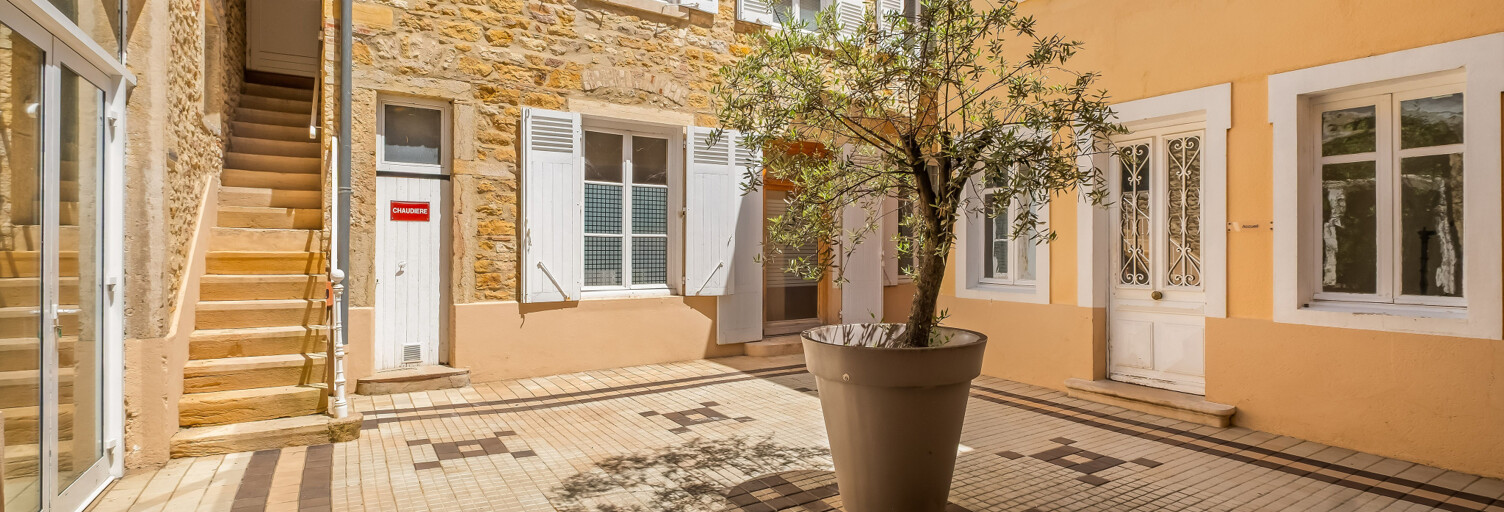 Maison 10 Pièces 520 m² à vendre à Limas (69400)