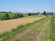 maison plain pied de campagne sur 4ha en Bio, sans voisins — photo 2