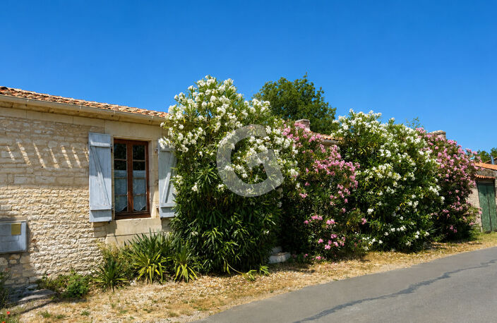 MAISON 5 PIECES- 147M²- À VENDRE À LAIROUX — photo 4