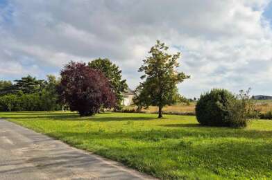 Terrain  28500 €