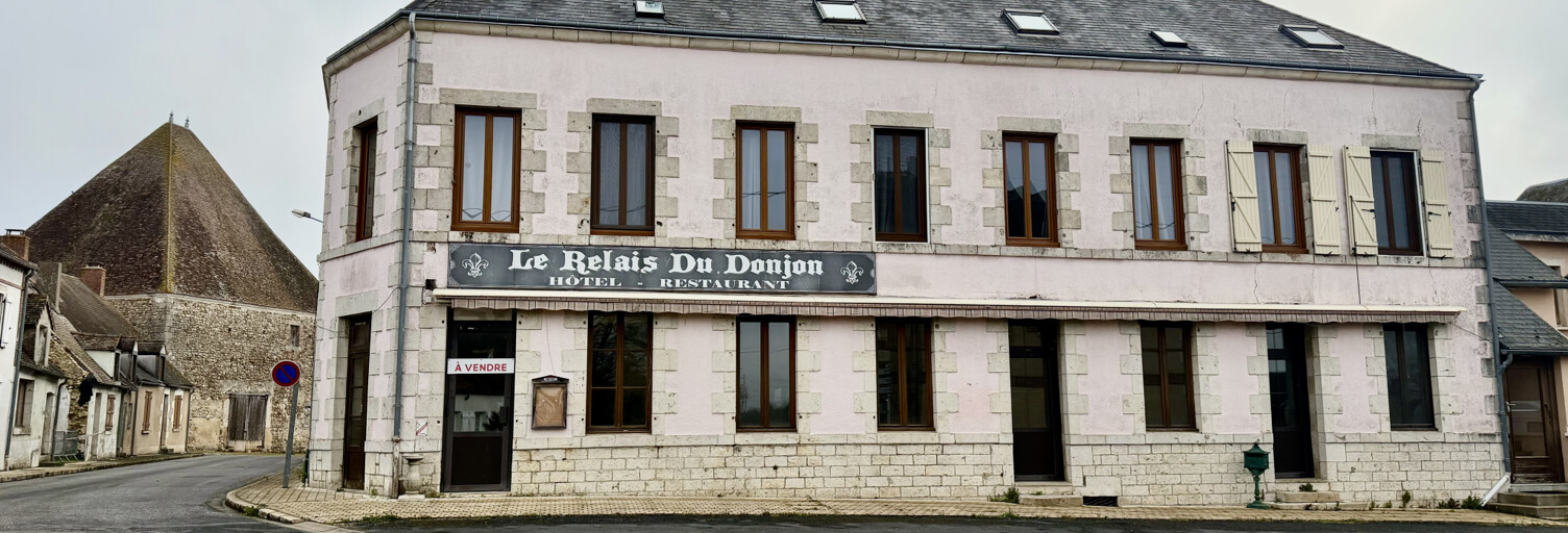 Divers 26 Pièces 818 m² à vendre à Dammarie-en-Puisaye (45420)