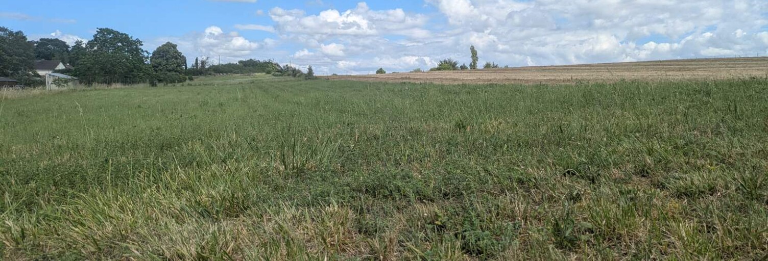 Terrain  1000 m² à vendre à Neuil (37190)