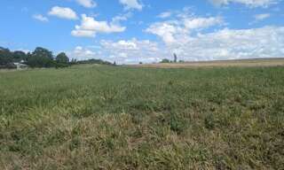 Terrain  1000 m² à vendre à Neuil (37190)