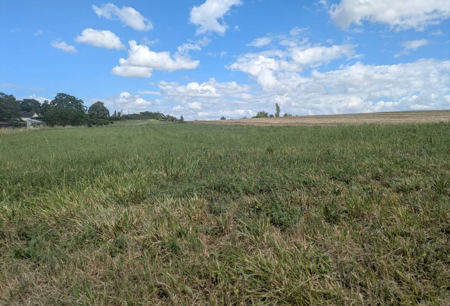 Vente terrain  1000 m² Neuil (37190) — photo 1
