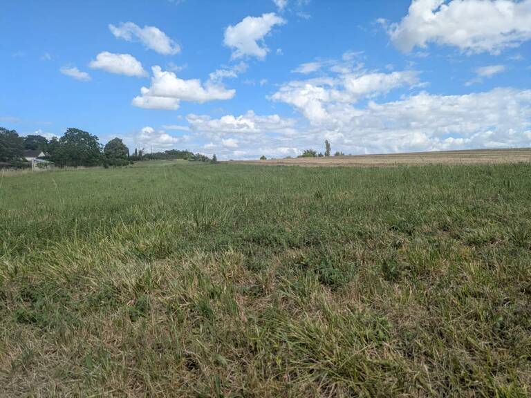 Terrain à construire  1000 m²  — photo 1