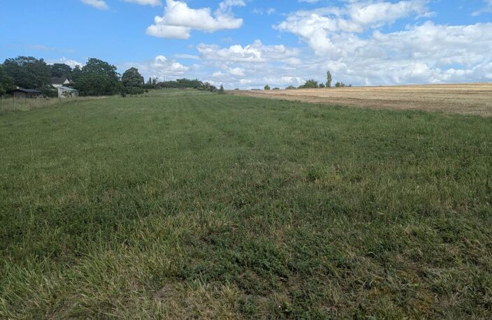 Vente terrain  1000 m² Neuil (37190) — photo 2