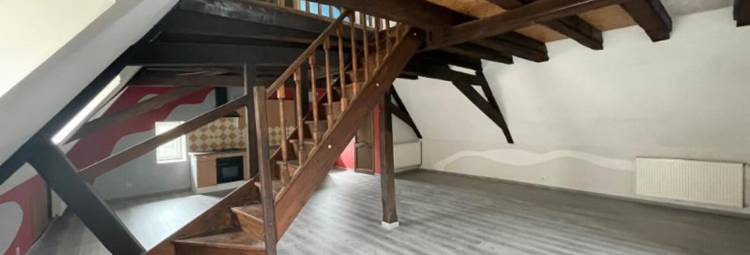 Appartement 4 Pièces 148 m² à vendre à Sarralbe (57430)