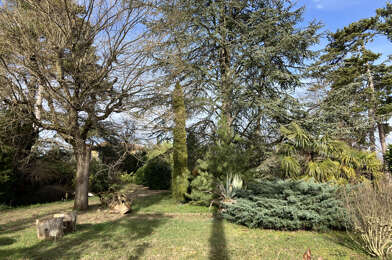 Terrain  260000 €